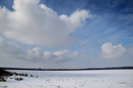 Frozen wetland
