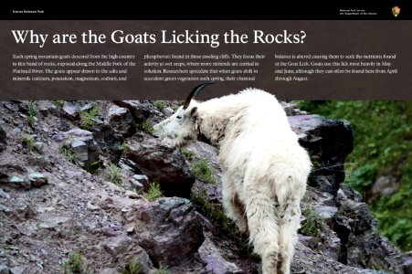 Goat Lick