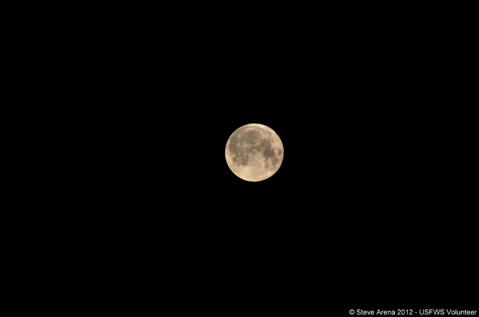 "Super" Moon taken from atop the observation tower 3:36 a.m. 06 May 2012 prior to Marshbird Survey