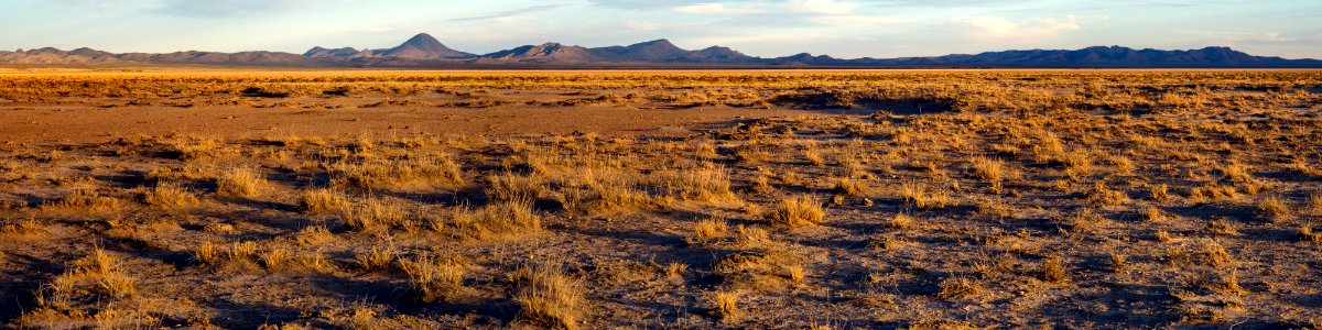 West edge of Lordsburg Playa