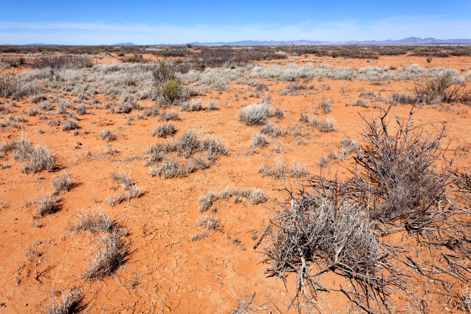 West of the Mimbres River