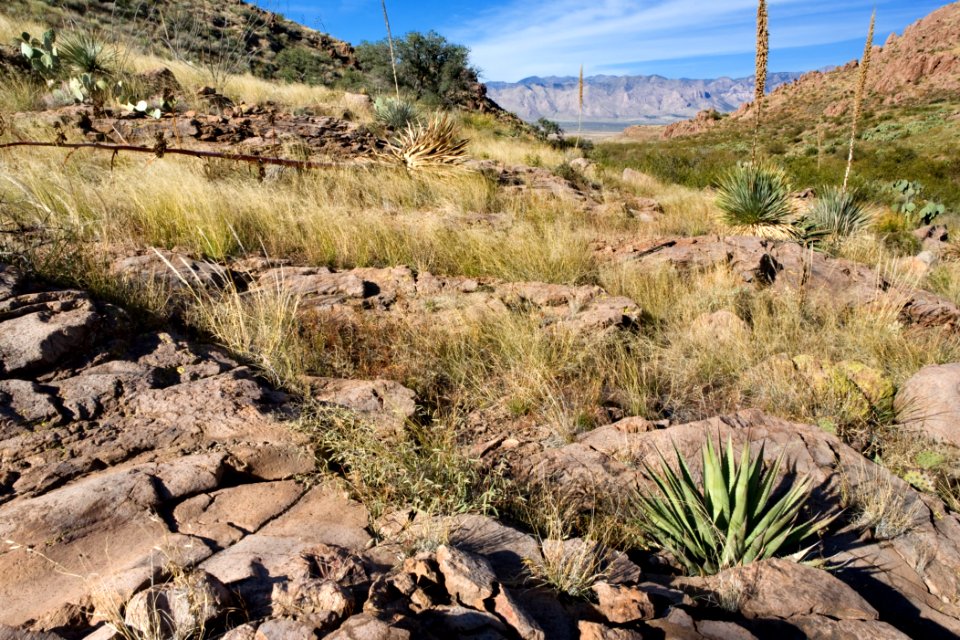 Owl Canyon