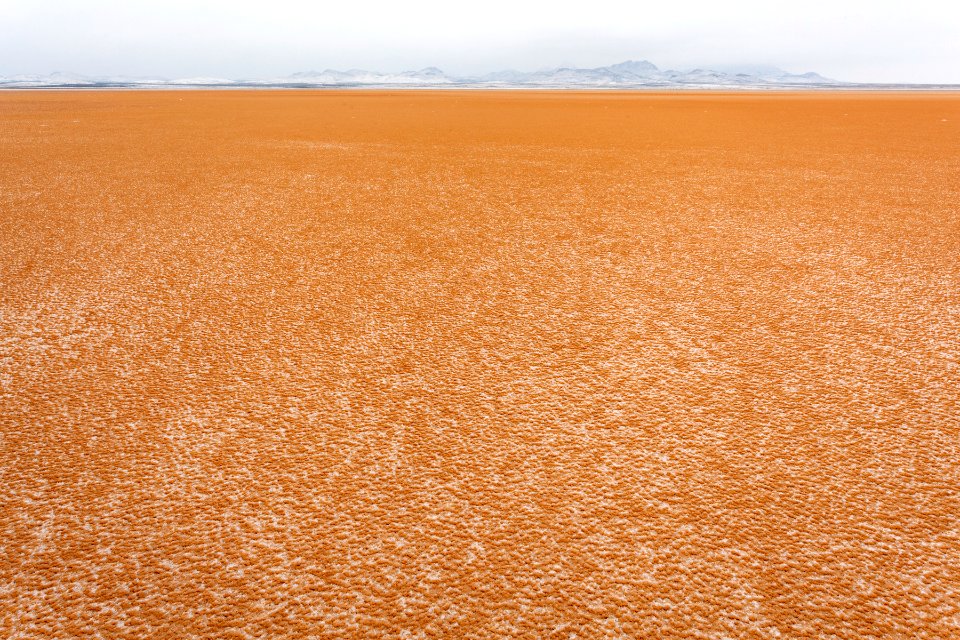Lordsburg Playa