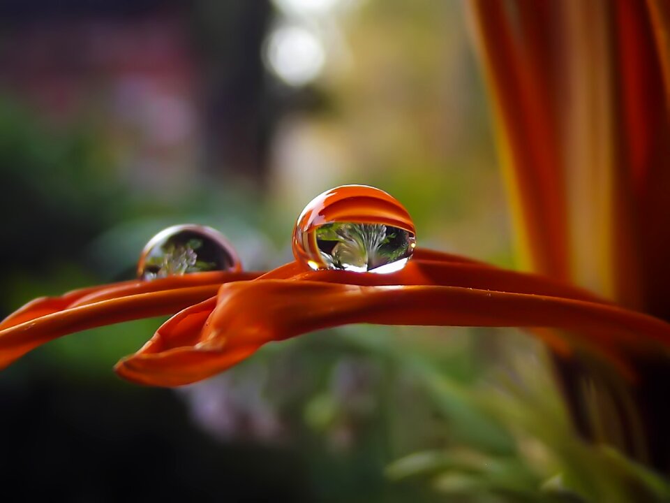 Plant wet water