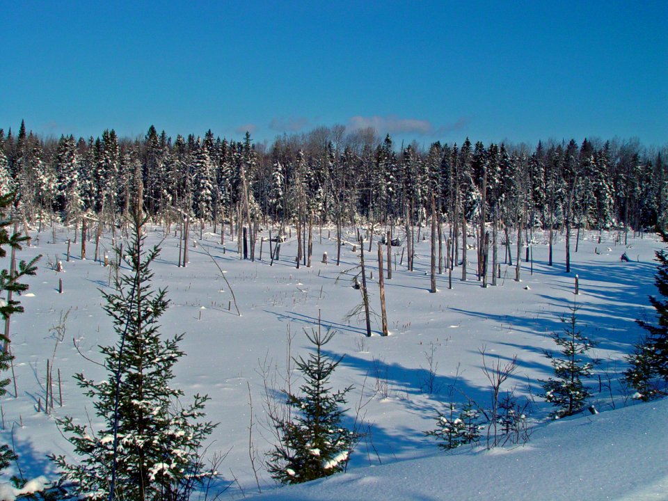 Winter on the refuge