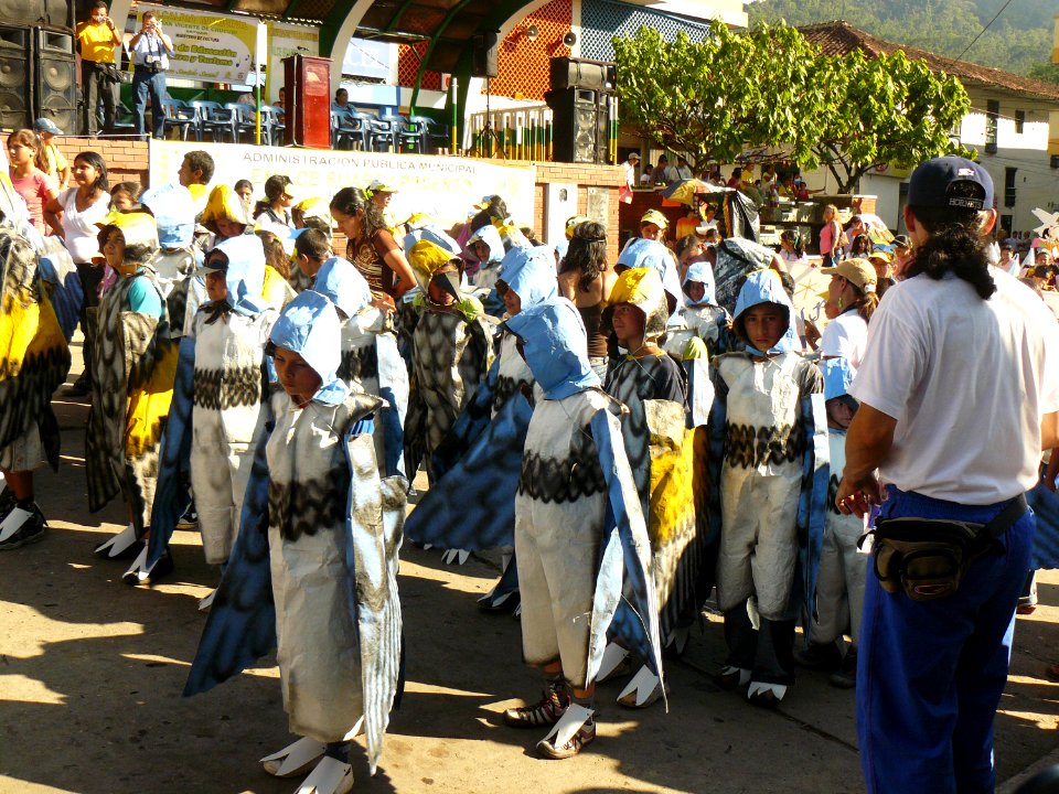 San Vicente Migratory Bird Parade