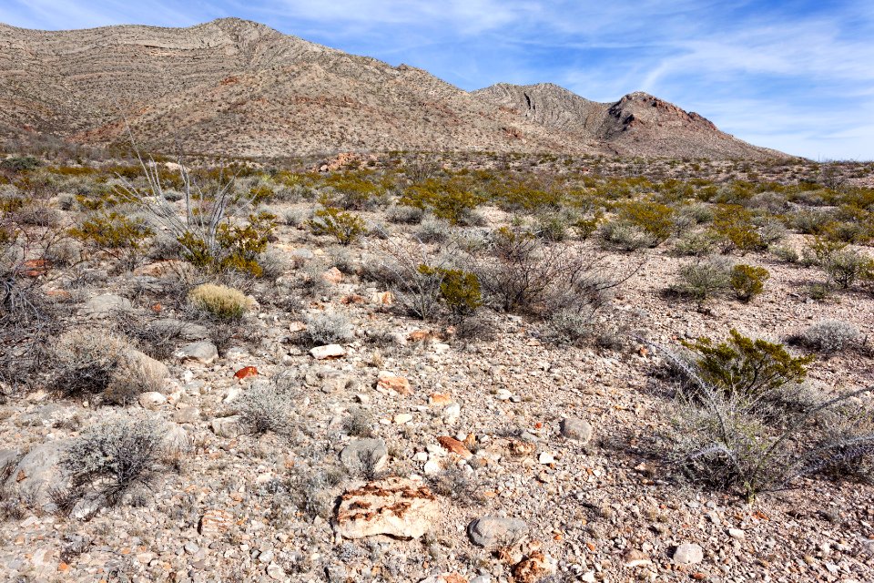 Base of the Caballo Mountains