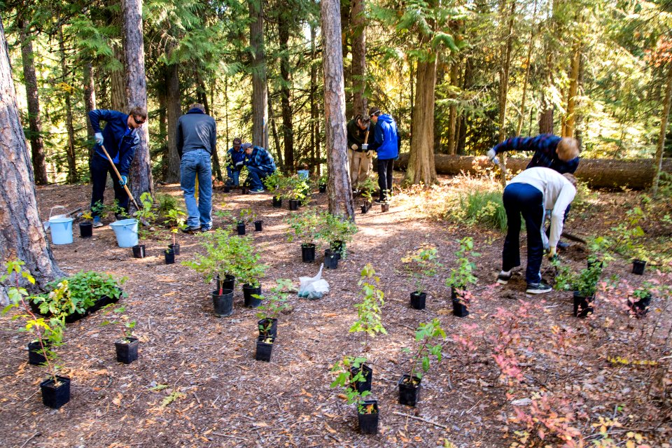 Fish Creek Planting and Monitoring Project 2016 (5)