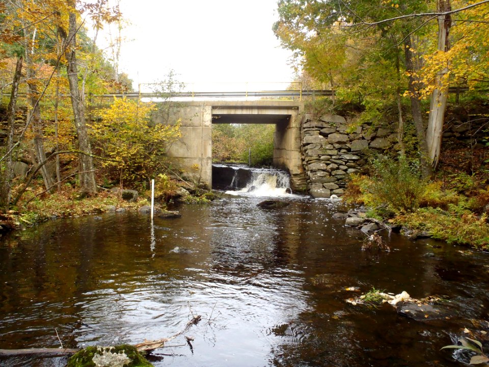 Etna Pond Outlet, Maine