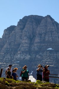 Viewing wildlife at Logan Pass