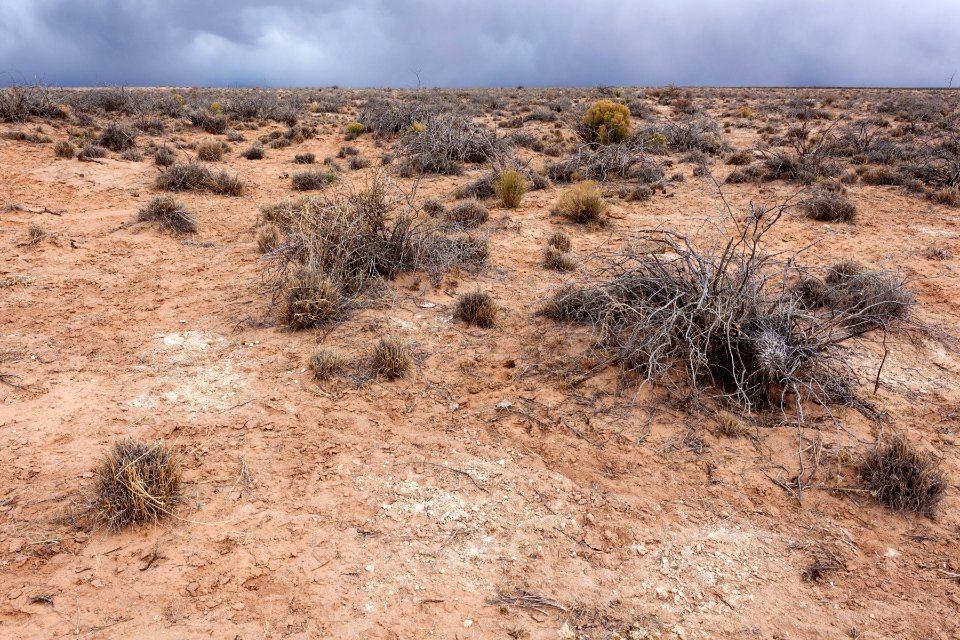 Northeast of Twin Buttes