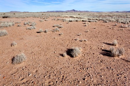 Near Mule Springs Creek