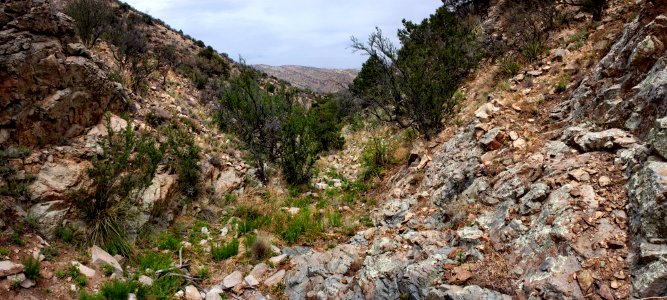 Northeastern Cookes Range