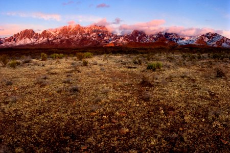 Organ Mountains