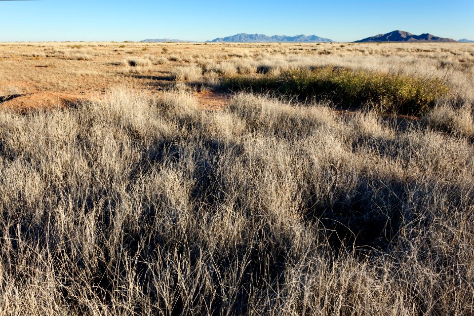 Plains west of Deming
