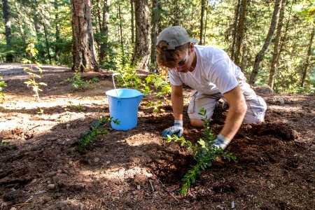 Fish Creek Planting and Monitoring Project 2016 (3)