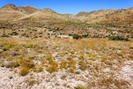 Ready Pay Gulch