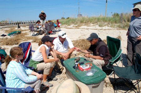 USFWS Northeast Regional Director Wendi Weber at red knot bird banding, Fortescue Beach (NJ) photo