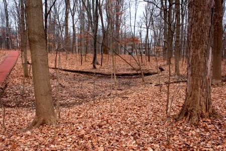 Kirkwood Observatory