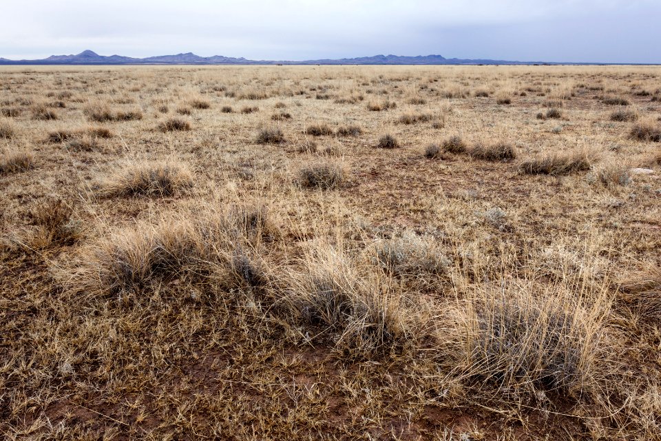 Southwestern edge of Lordsburg Playa