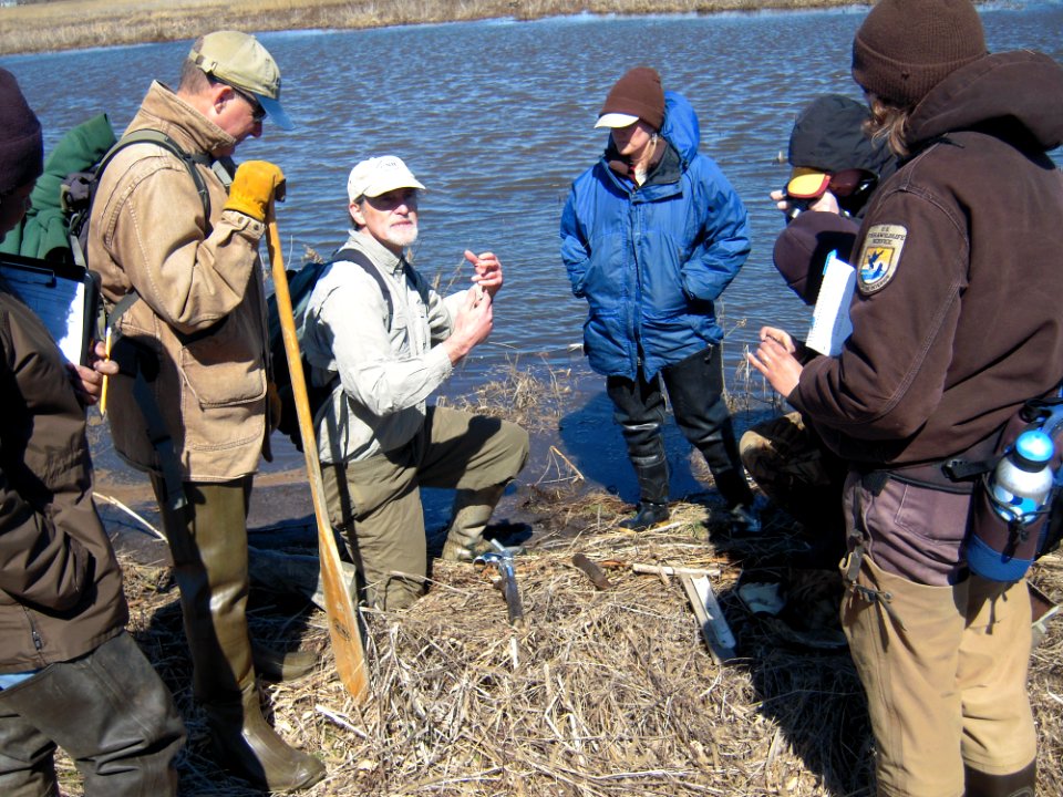 Salt Marsh field work