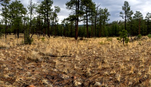 Continental Divide Trail