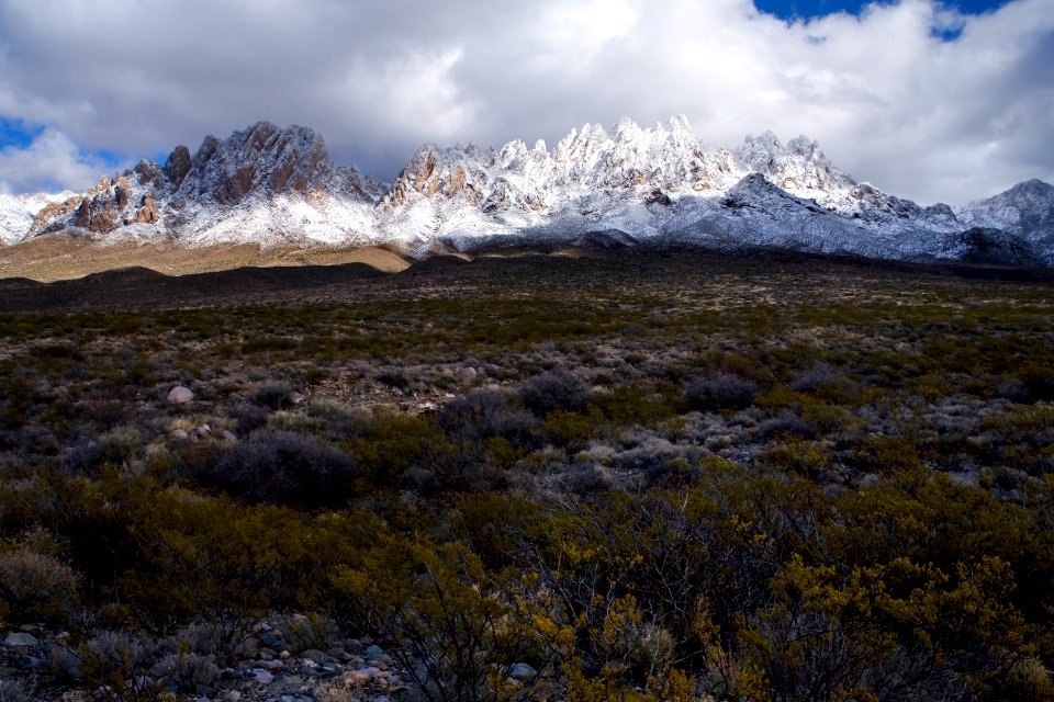 Organ Mountains