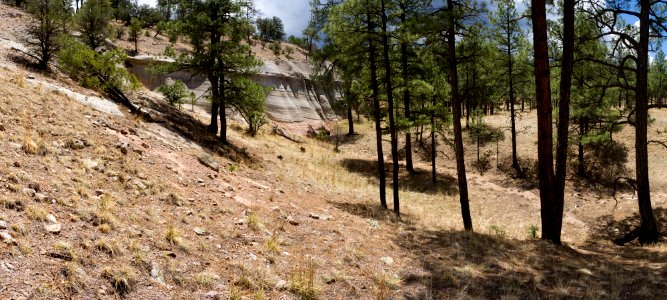 Sawmill Canyon