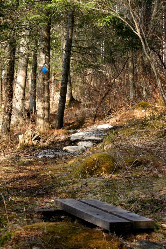 Nulhegan River Trail