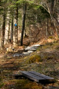 Nulhegan River Trail