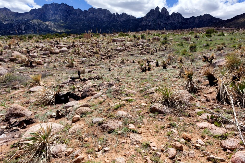 North-northeast of Aguirre Spring
