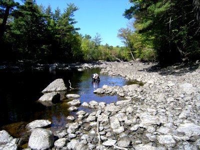 Surveying for Mussels