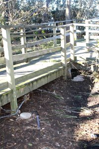Damage at Stewart B. McKinney National Wildlife Refuge (CT)