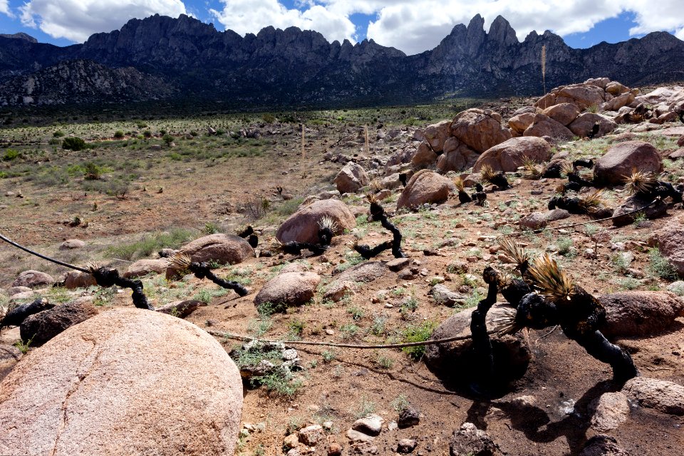 North-northeast of Aguirre Spring