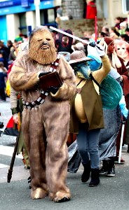 Carnaval 2017 - Le Portel