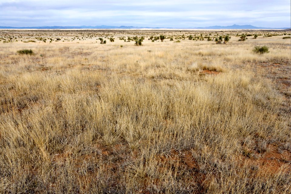 Near Flat Canyon