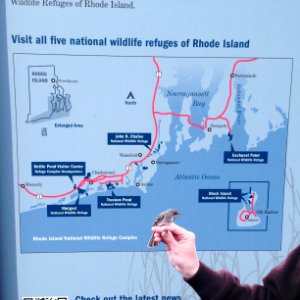 Rhode Island Complex Map