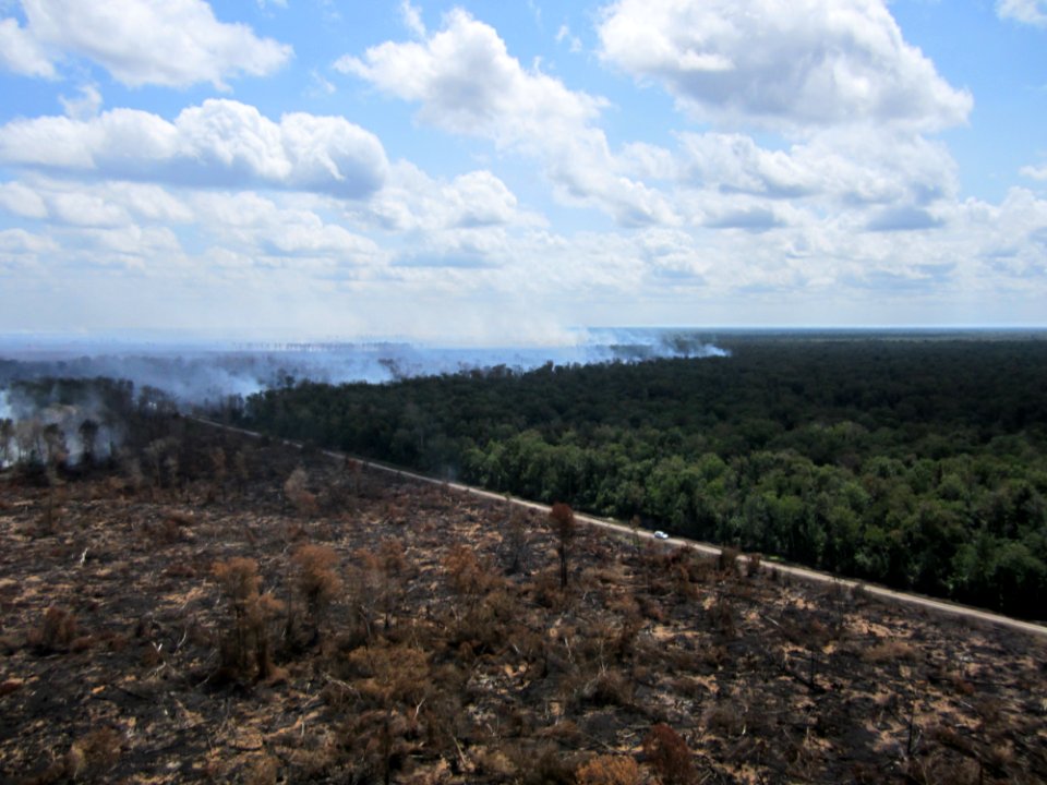 Burned and unburned