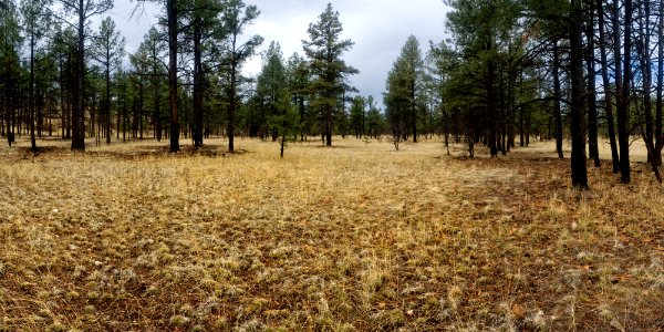Continental Divide Trail