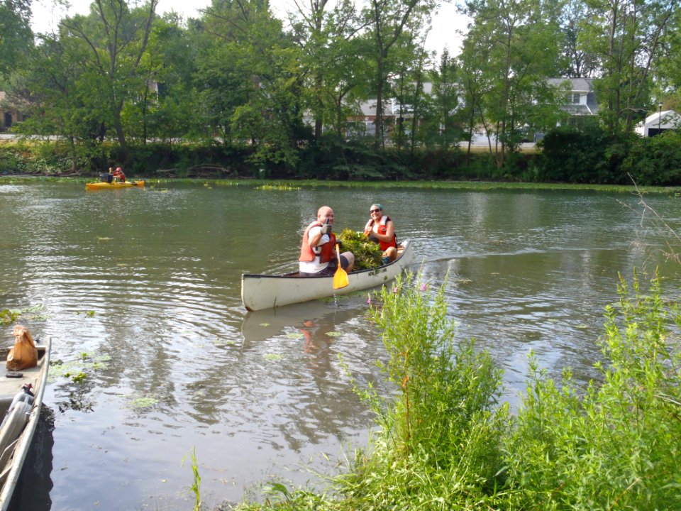 Water Chestnut Volunteers