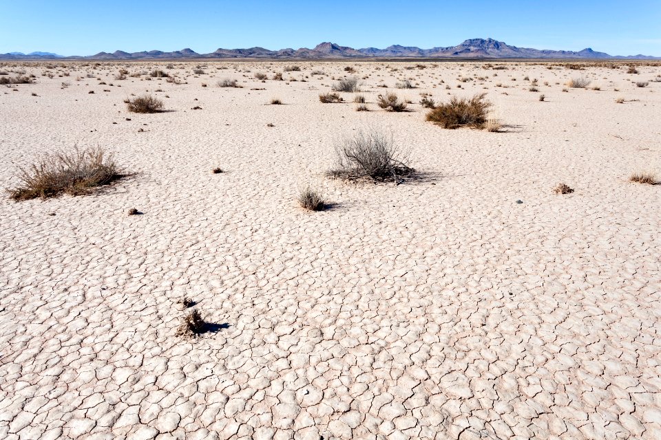 Lordsburg Playa