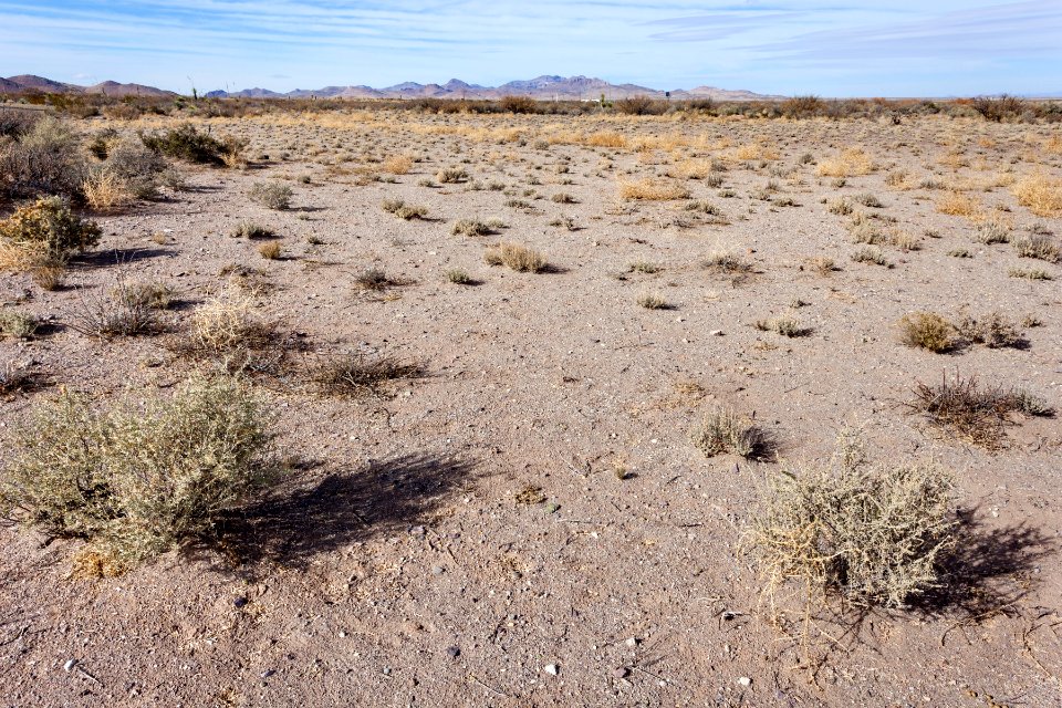 Edge of Lordsburg Playa
