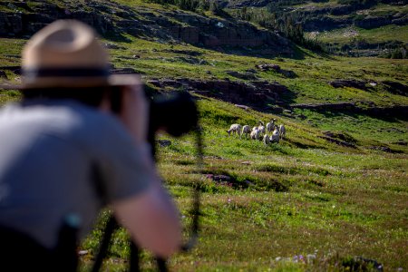 A park ranger watches wildlife through a spotting scope.
