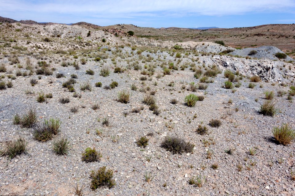 East-northeast of Soldiers Farewell Hill