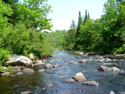 North Branch