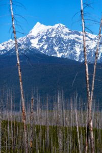 Mount Jackson From Camas Road