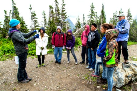 Volunteer Group Planting at Logan Pass 00