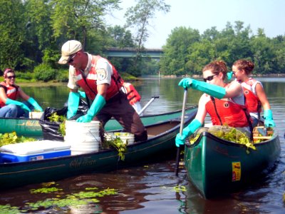 YCC crew removing water chestnut photo