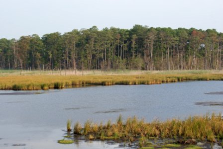 Blackwater National Wildlife Refuge