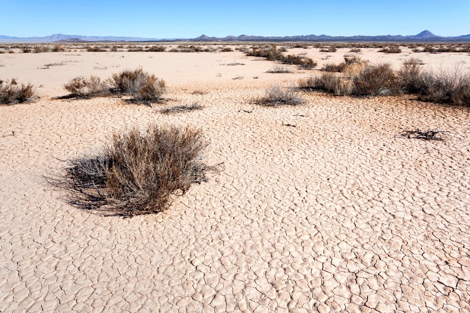Lordsburg Playa